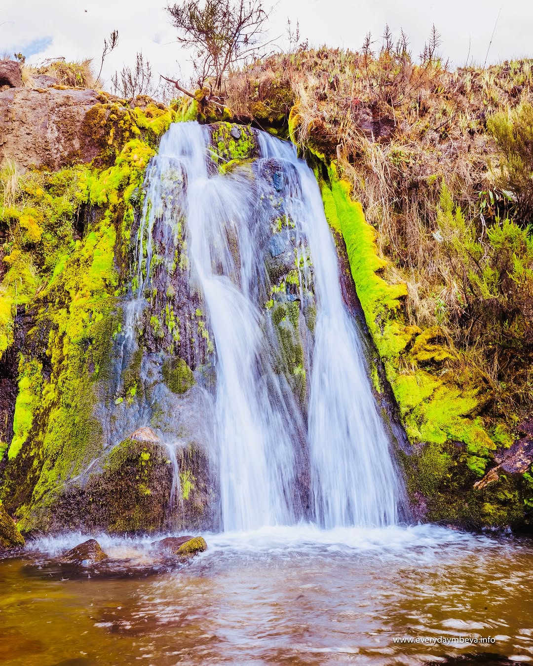 Kitulo National Park