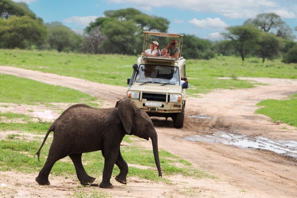 6 Days Tanzania Wildlife Safari Experience