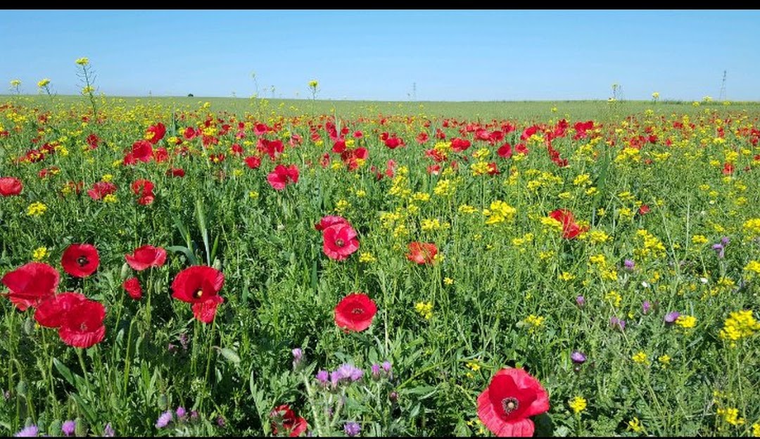 Kitulo National Park