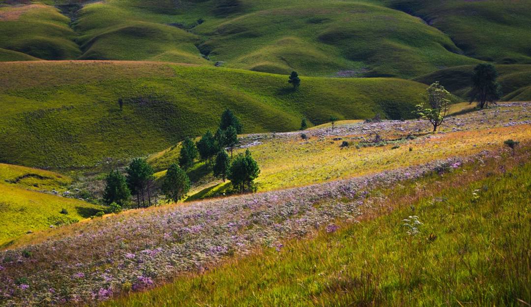Kitulo National Park