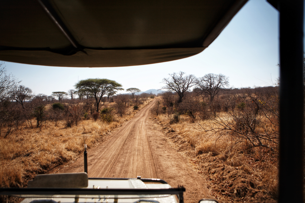 Ruaha National Park