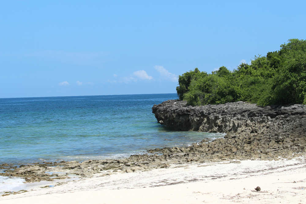 Mbudya Island