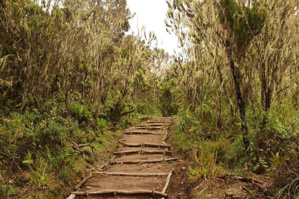 7 Days Kilimanjaro Machame Route